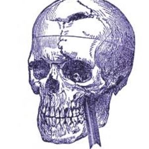 Meet your Posher, Bryant